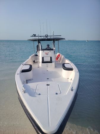 Seamaster 34 | Sea Bird 2