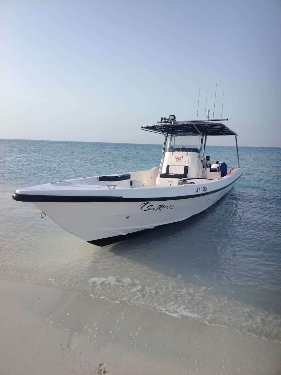 Seamaster 34 | Sea Bird 2