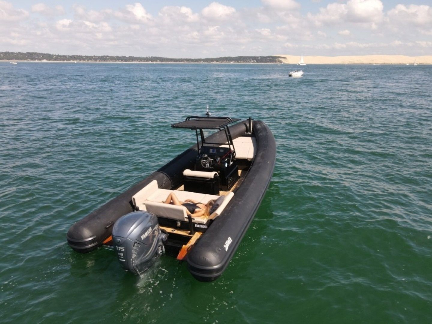 Sea Water 280 | Freebird