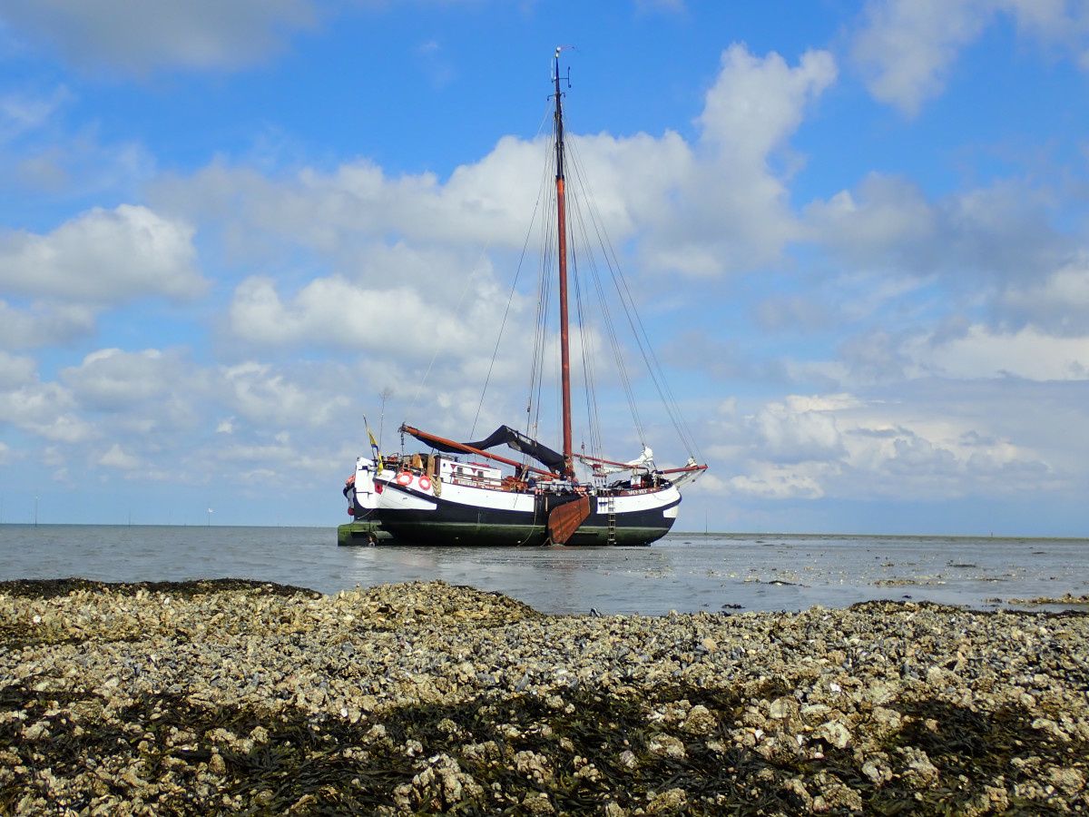 Custom Built 85 | Spes-Mea