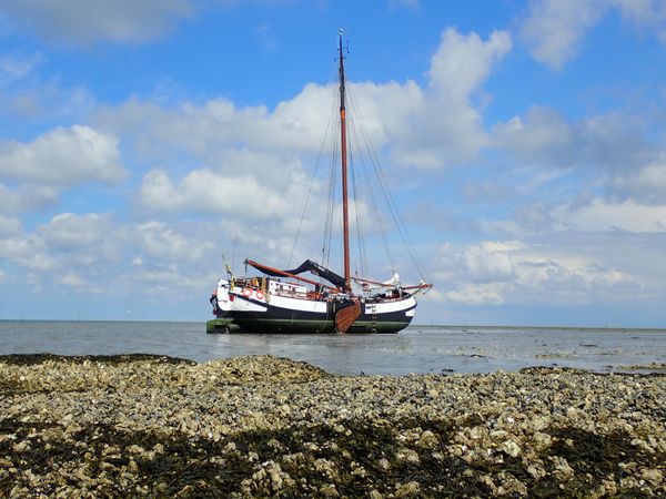 Custom Built 85 | Spes-Mea