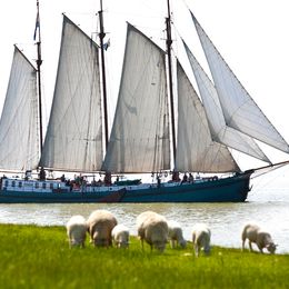 Custom Built 174 | Tsjerk Hiddes