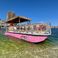 Beachcat Tiki 26 | The Pink Turtle