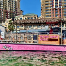 Beachcat Tiki 26 | The Pink Turtle