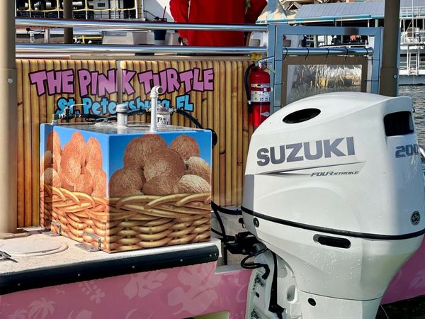Beachcat Tiki 26 | The Pink Turtle