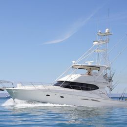 Silverton 50 | Roxanita