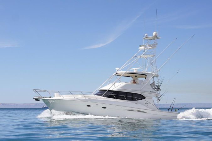 Silverton 50 | Roxanita