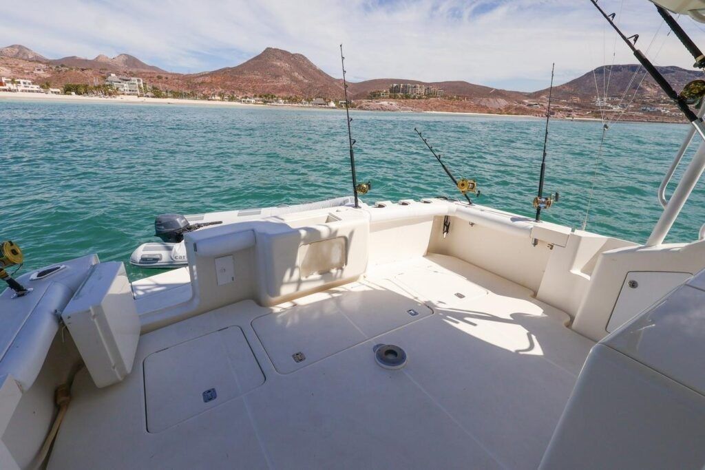 Silverton 50 | Roxanita