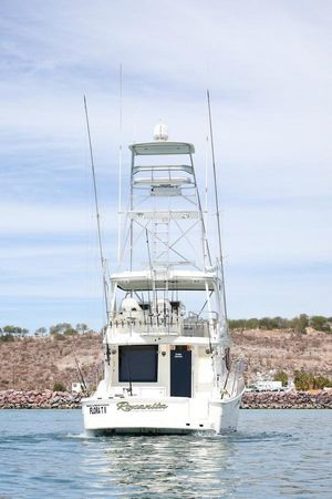 Silverton 50 | Roxanita