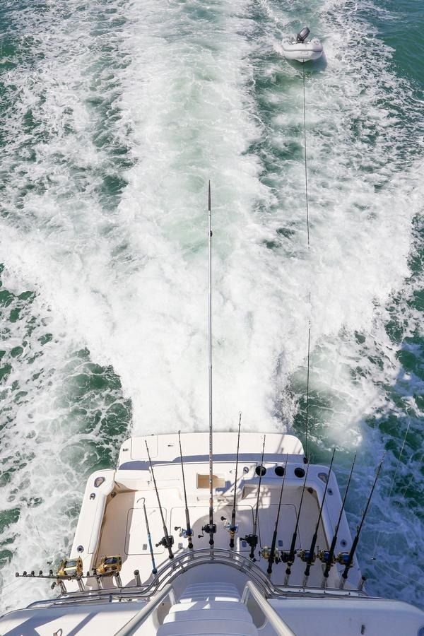 Silverton 50 | Roxanita