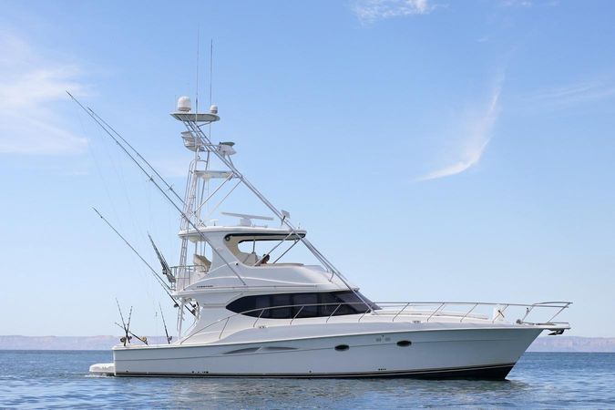 Silverton 50 | Roxanita