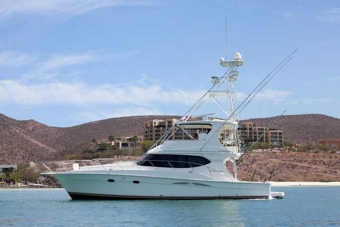 Silverton 50 | Roxanita