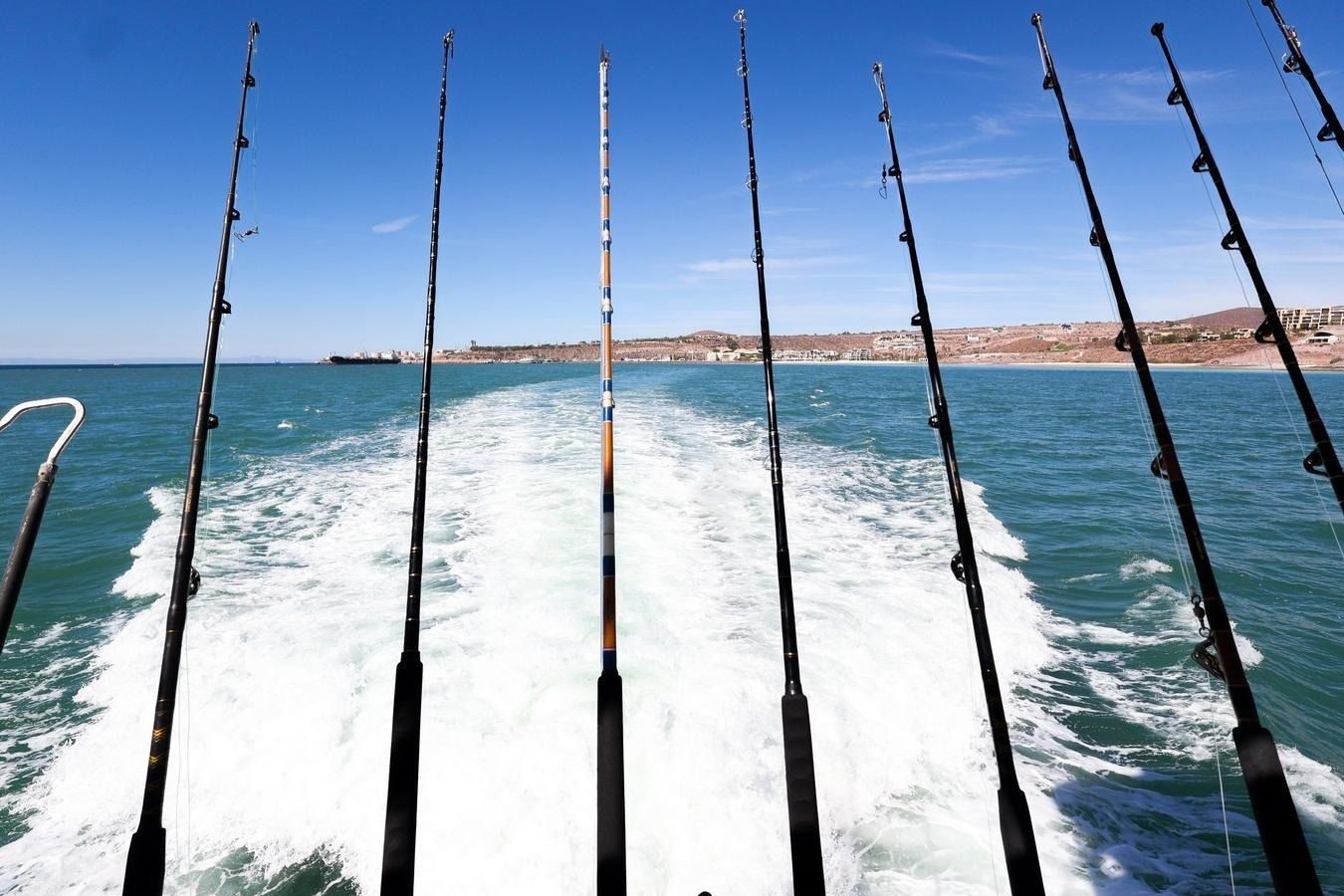 Silverton 50 | Roxanita