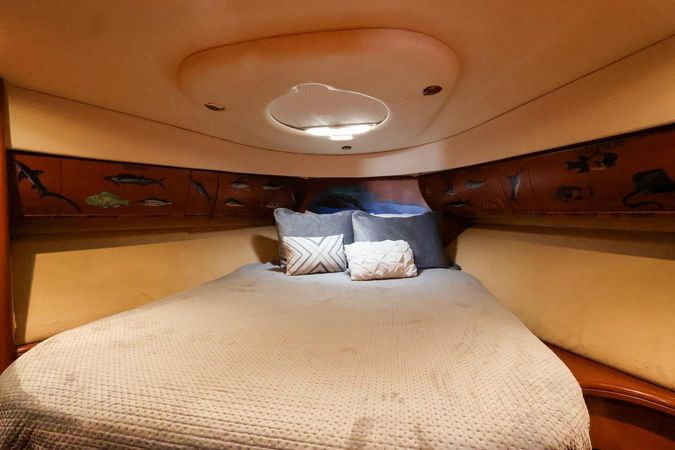 Silverton 50 | Roxanita