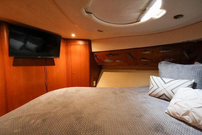 Silverton 50 | Roxanita