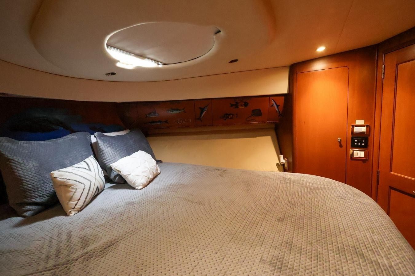 Silverton 50 | Roxanita