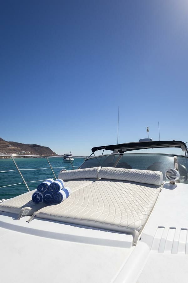 Carver Trojan 440 Express | Padre Santo
