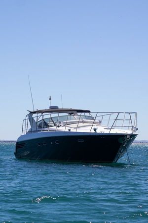 Carver Trojan 440 Express | Padre Santo