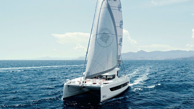 Bali Catsmart | Badeco