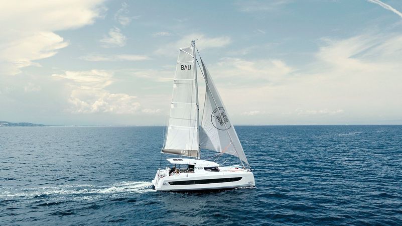 Bali Catsmart | Badeco