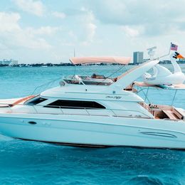 Sea Ray 50 | Sea Monkey