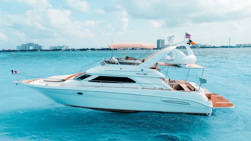 Sea Ray 50 | Sea Monkey