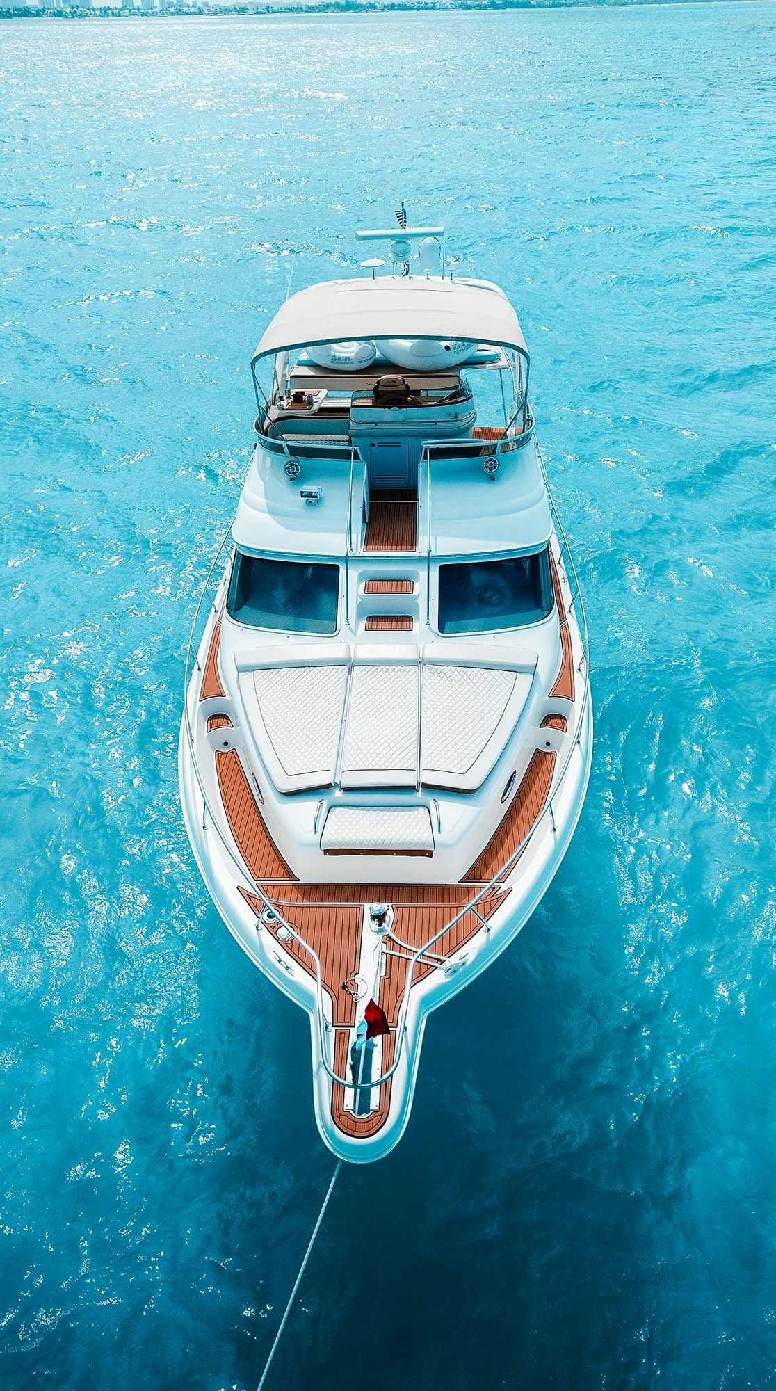 Sea Ray 50 | Sea Monkey