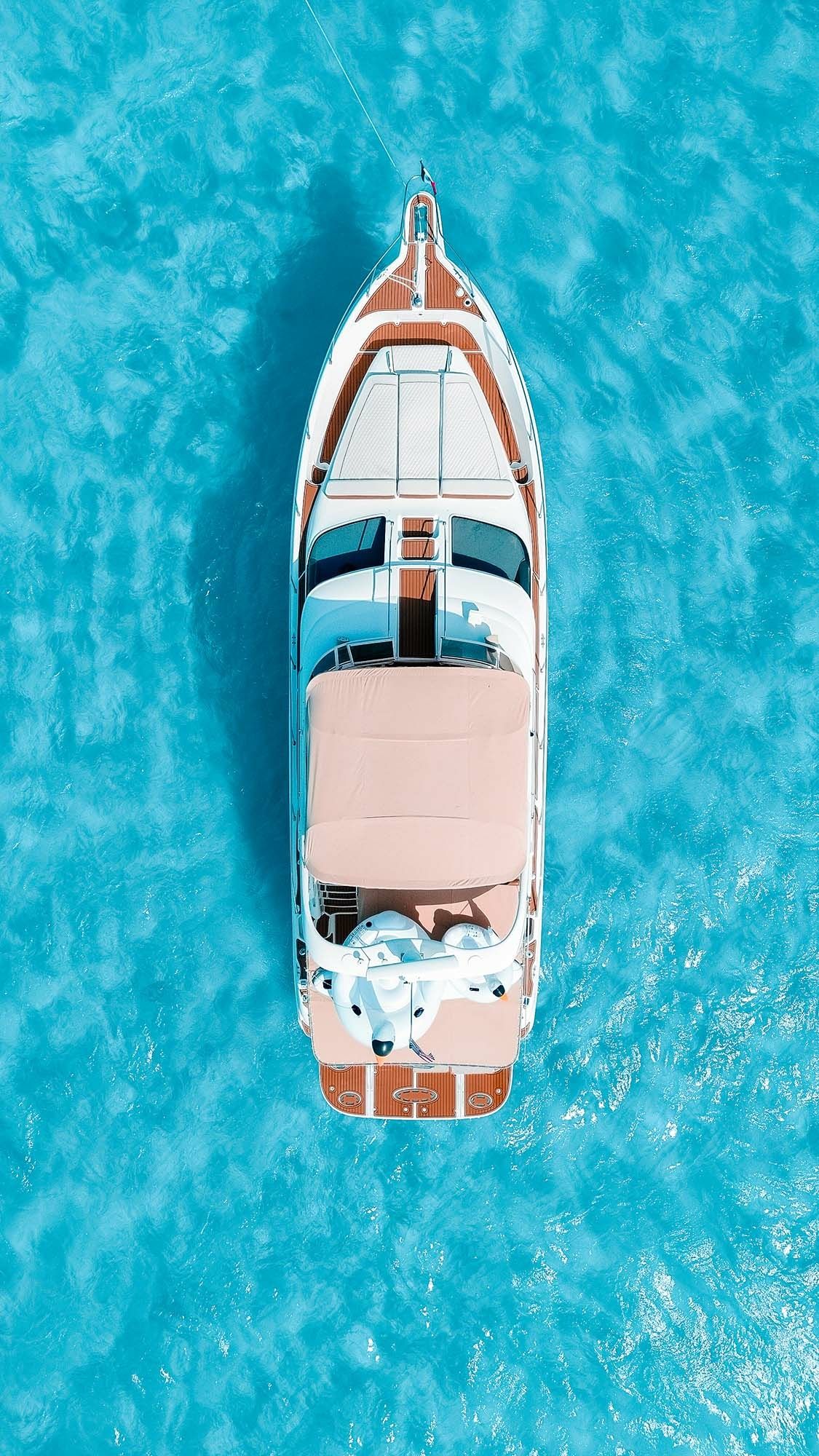 Sea Ray 50 | Sea Monkey