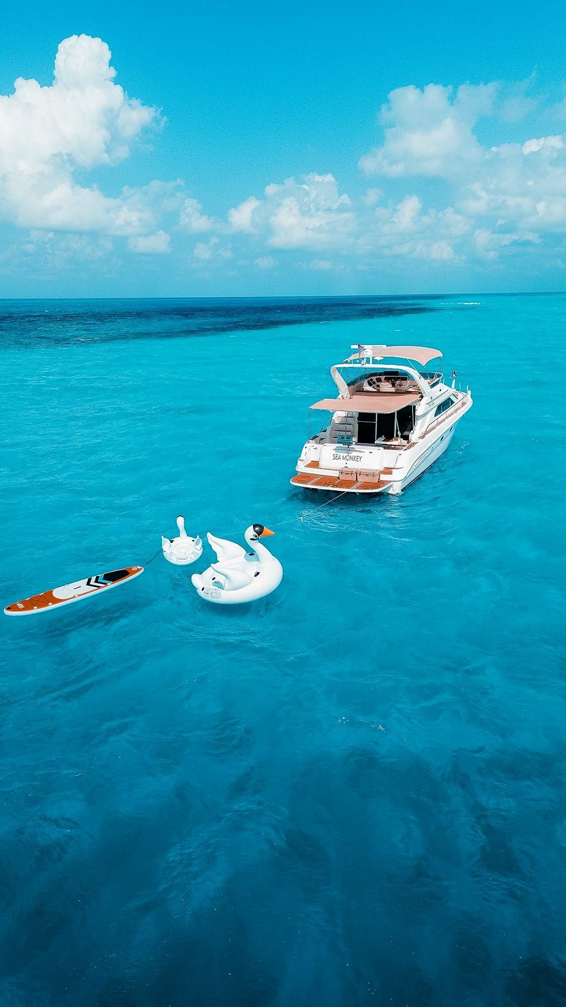 Sea Ray 50 | Sea Monkey