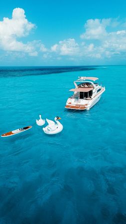 Sea Ray 50 | Sea Monkey