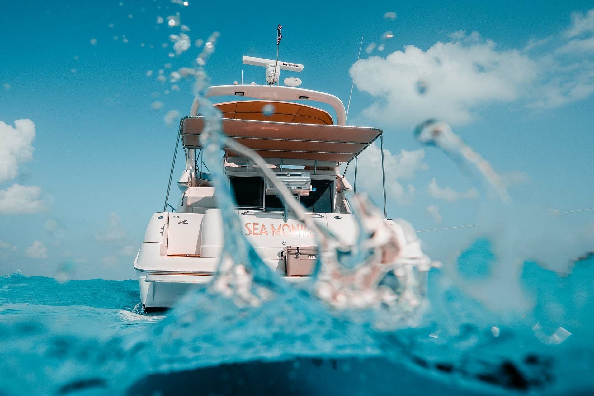 Sea Ray 50 | Sea Monkey