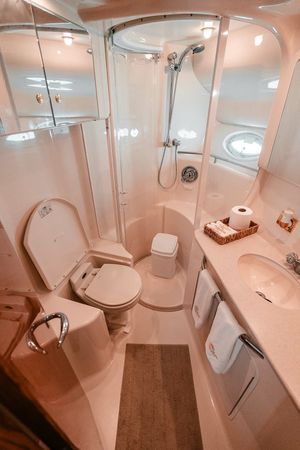 Sea Ray 50 | Sea Monkey