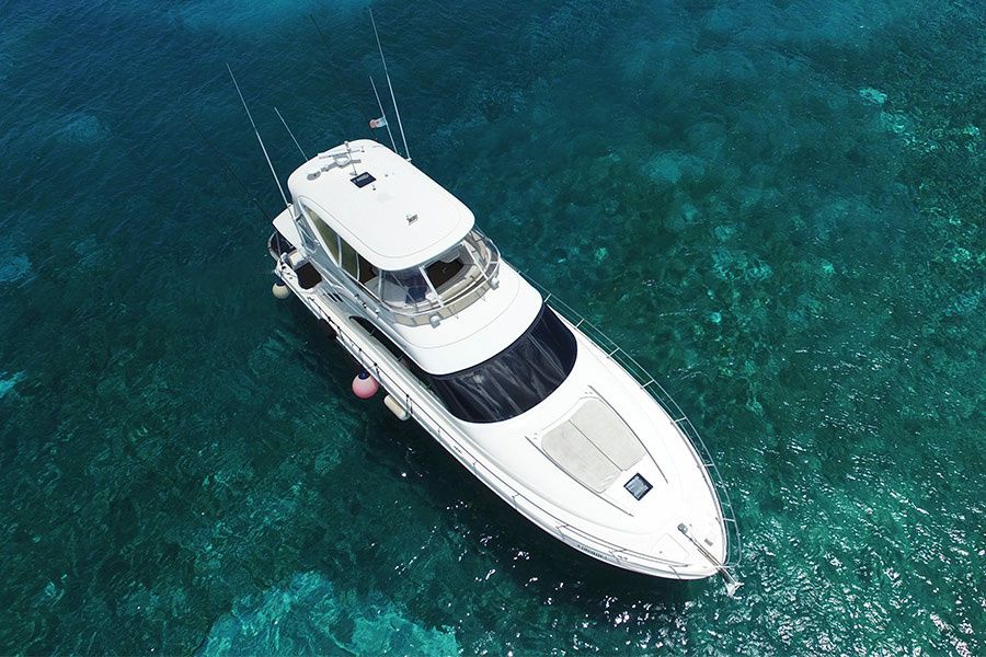 Sea Ray 56 | Cielo