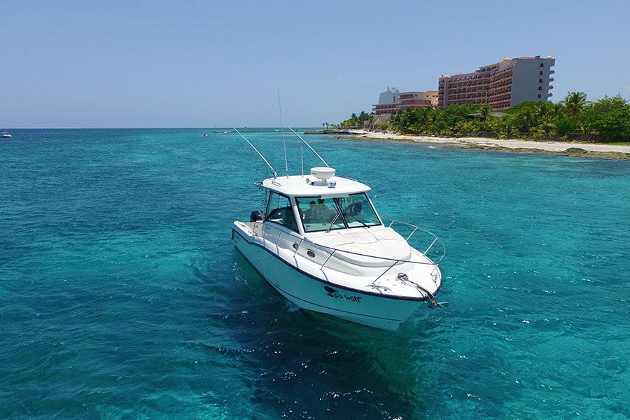 Boston Whaler 37 | Sea Wolf