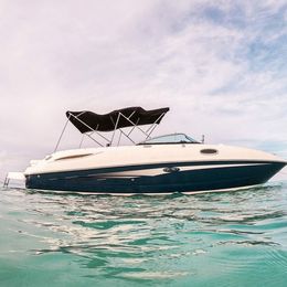 Sea Ray 270 | 19