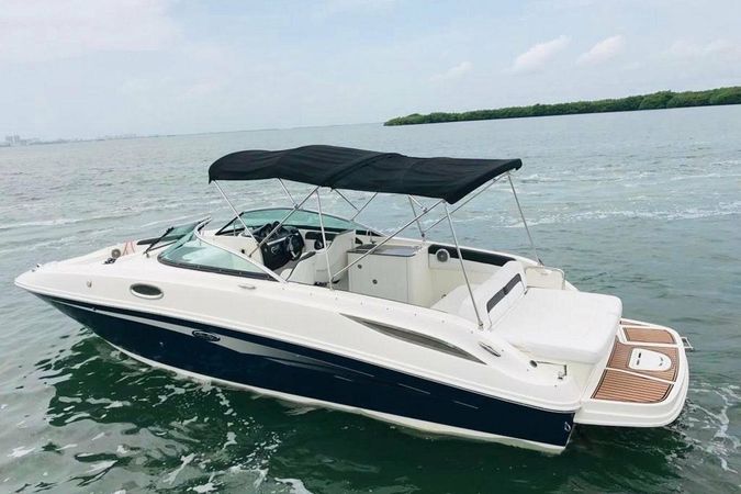 Sea Ray 270 | 19