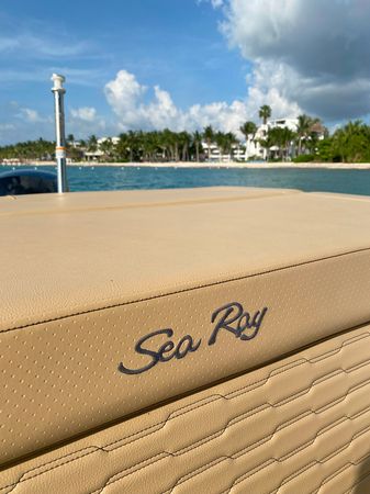 Sea Ray 240 | 22