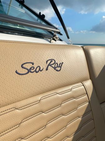 Sea Ray 240 | 22