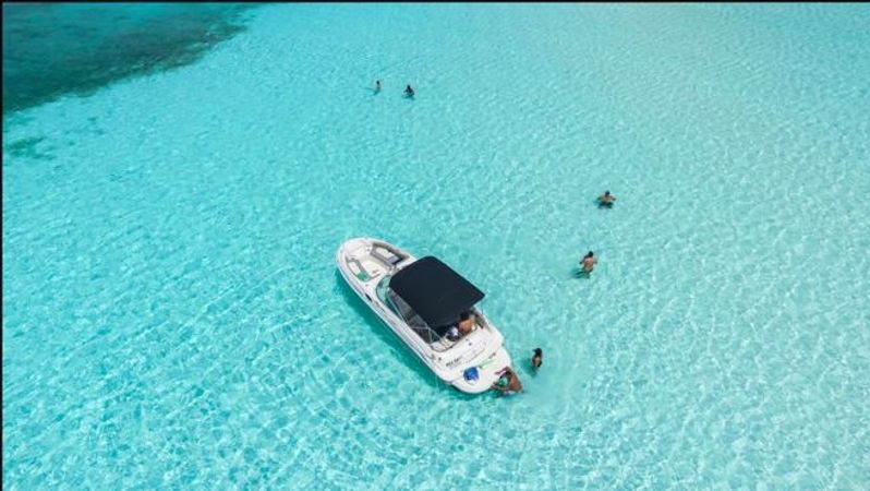 Sea Ray Sundeck 240 | Pali