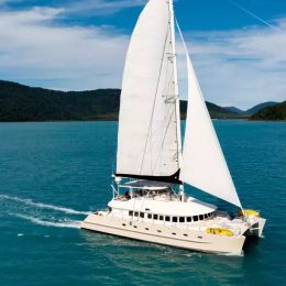 Custom Built 65 | Havanna