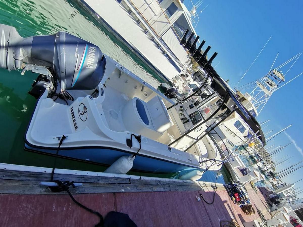 Bayliner Trophy 1903 | 98