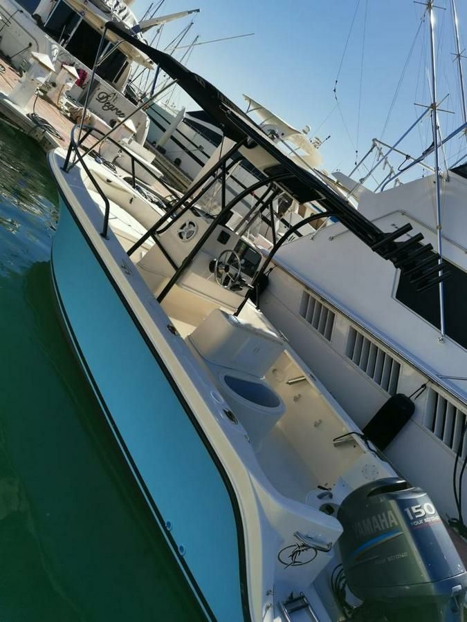 Bayliner Trophy 1903 | 98