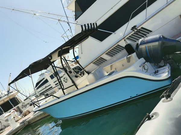 Bayliner Trophy 1903 | 98