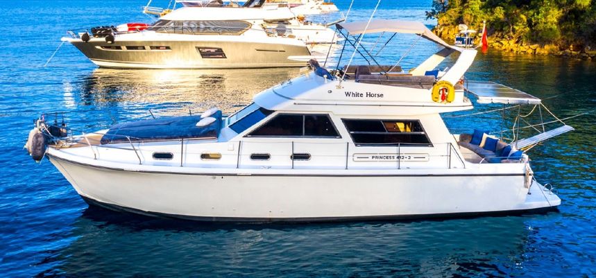 Princess 412 | White Horse