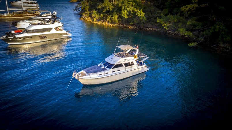 Princess 412 | White Horse