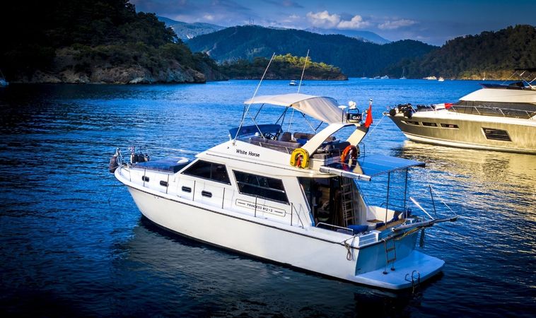 Princess 412 | White Horse