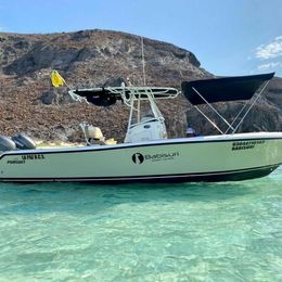 Pursuit 32 | Babisuri