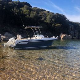 Ocqueteau Ostrea 600 | 18