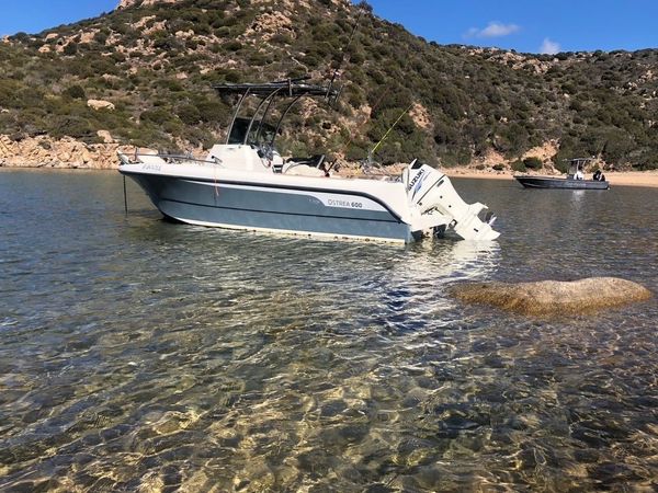 Ocqueteau Ostrea 600 | 18