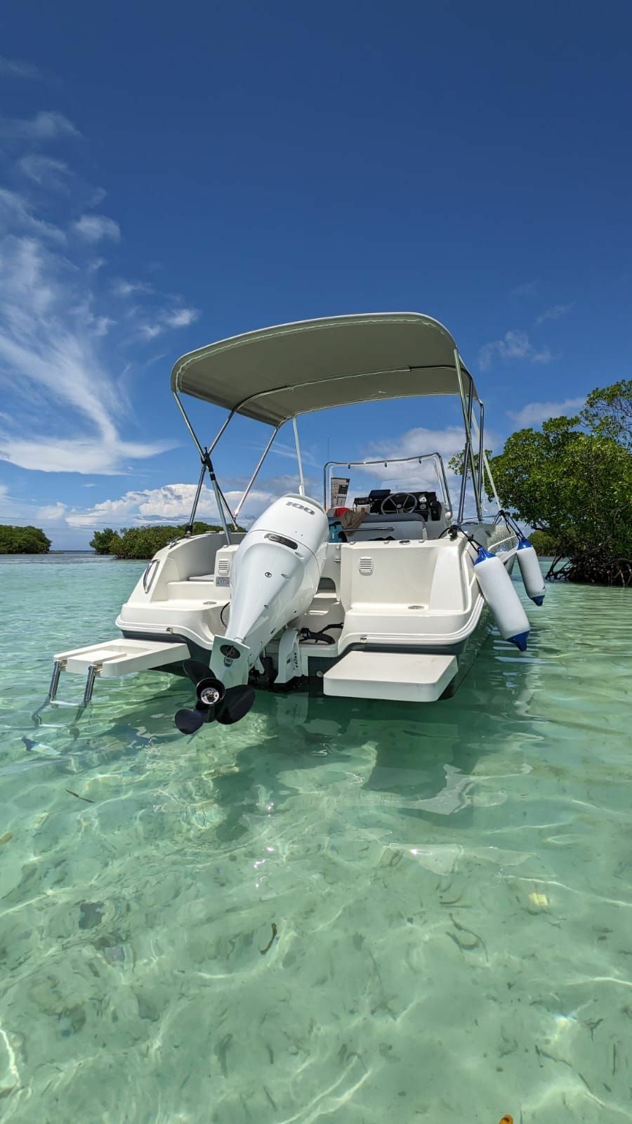 Pacific Craft 545 Open | Maui